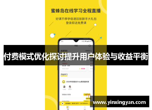 付费模式优化探讨提升用户体验与收益平衡